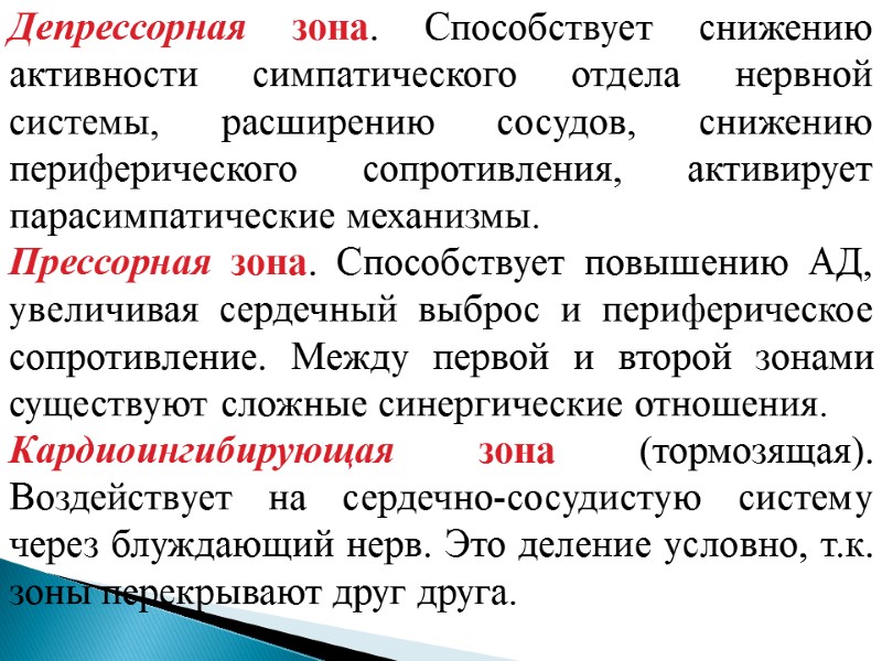 Депрессорная зона. Способствует снижению активности симпатического отдела нервной системы, расширению сосудов, снижению периферического сопротивления,